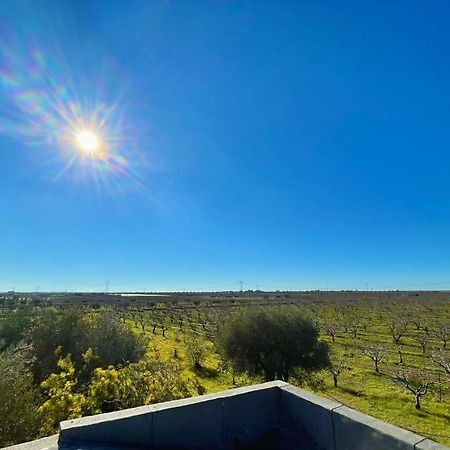 טורי Masseria Elefante מראה חיצוני תמונה