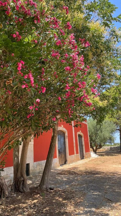 טורי Masseria Elefante מראה חיצוני תמונה