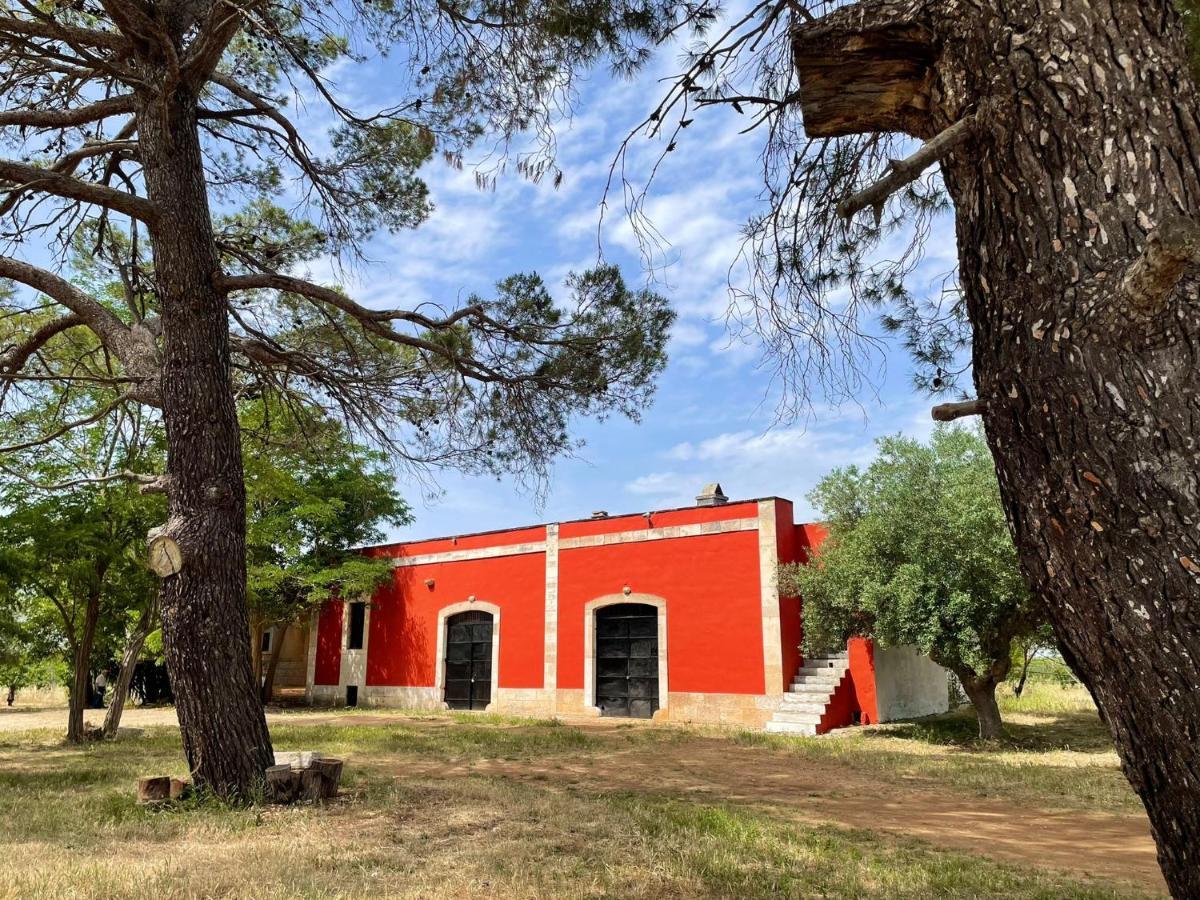 טורי Masseria Elefante מראה חיצוני תמונה
