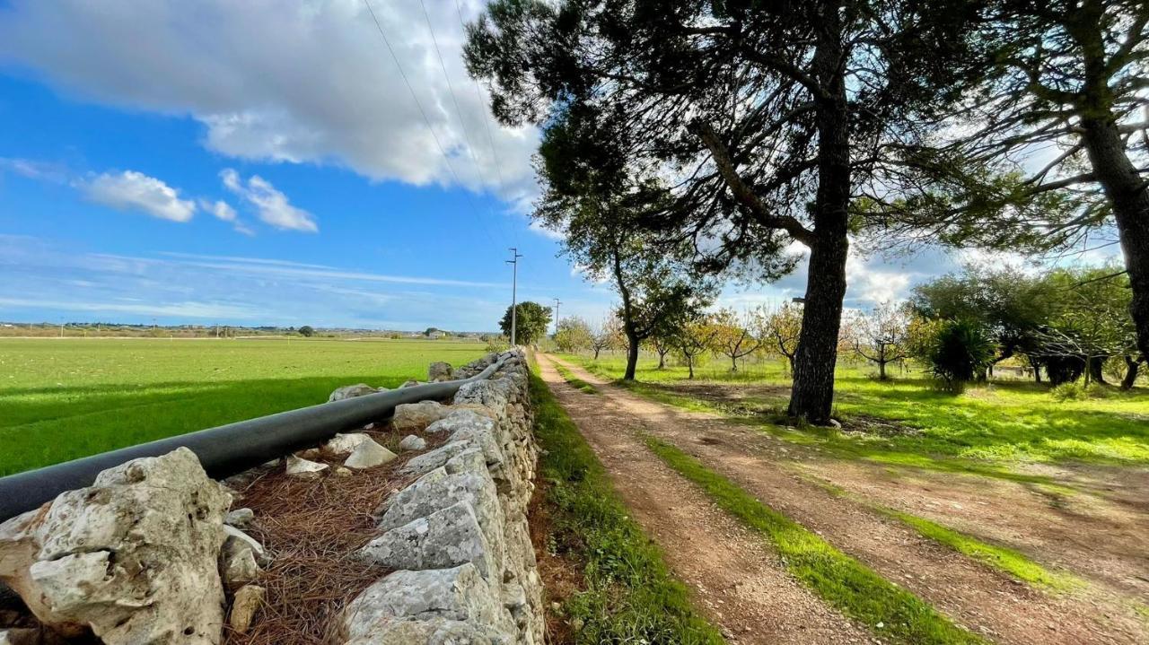 טורי Masseria Elefante מראה חיצוני תמונה
