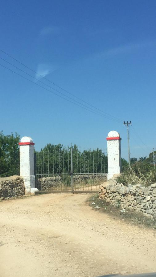 טורי Masseria Elefante מראה חיצוני תמונה