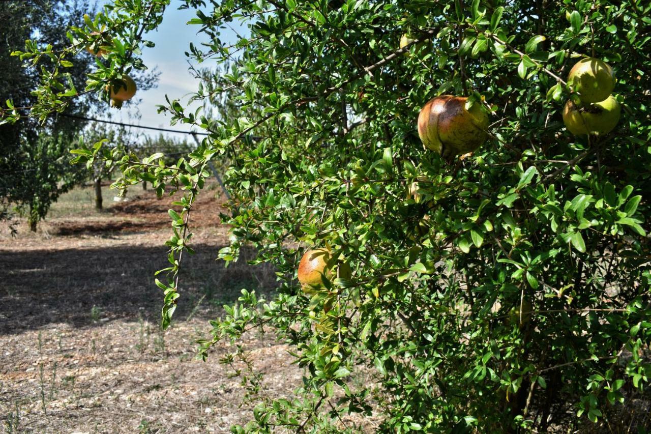 טורי Masseria Elefante מראה חיצוני תמונה